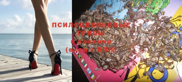 мет Арсеньев