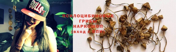 таблы Аркадак